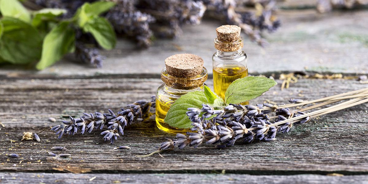 Des astuces naturelles pour un intérieur odorant