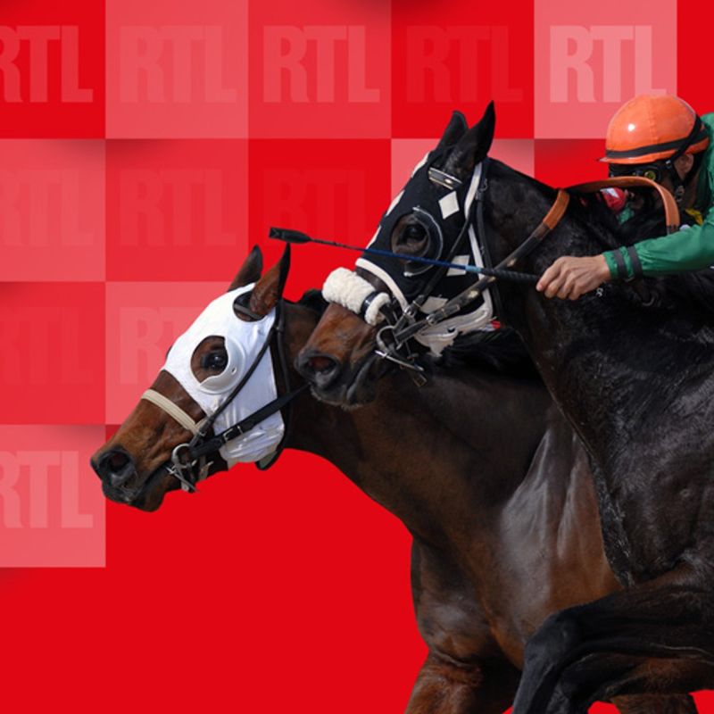 Les enjeux du Quinté de Chantilly : qui sortira vainqueur ?