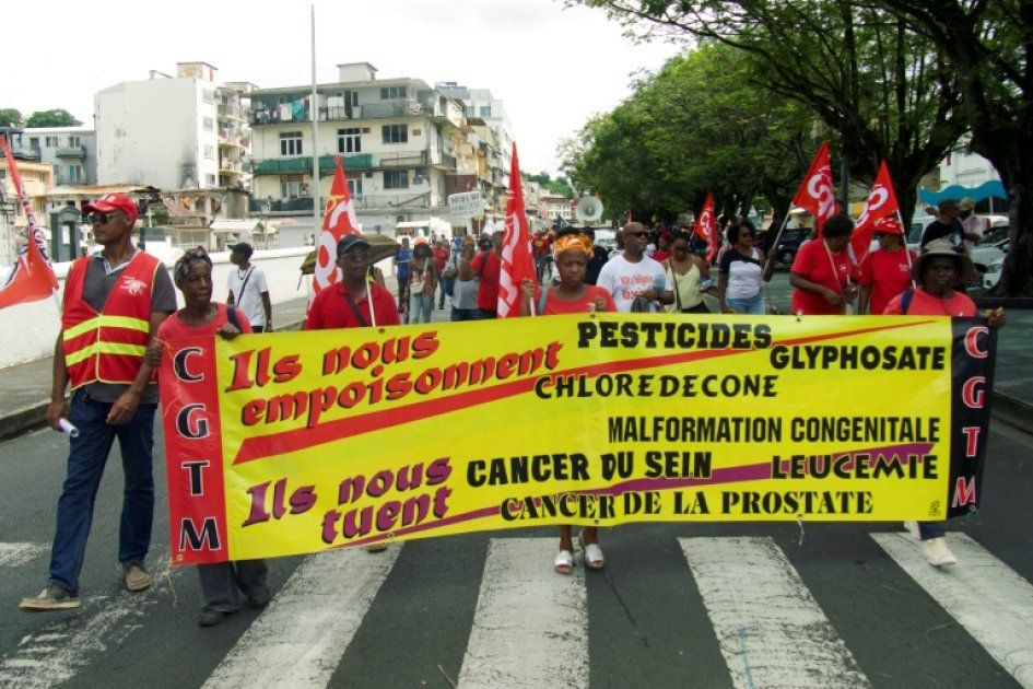 Chlordécone : vers une indemnisation pour les victimes en vue
