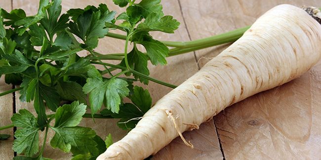 Persil tubéreux : un trésor culinaire à redécouvrir