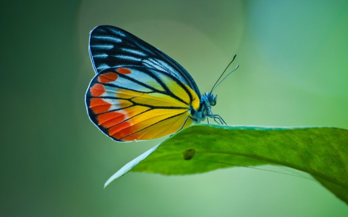 Agir ensemble pour la préservation de la biodiversité