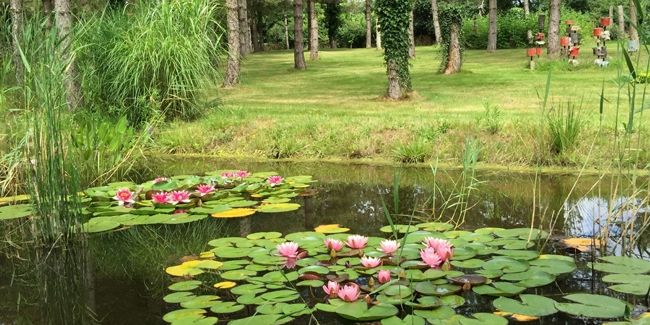 Le jardin d'Alkinoos - Jardin botanique à Maché en Vendée (85)