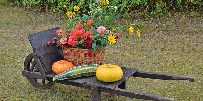 Les indispensables travaux d'automne pour un jardin florissant