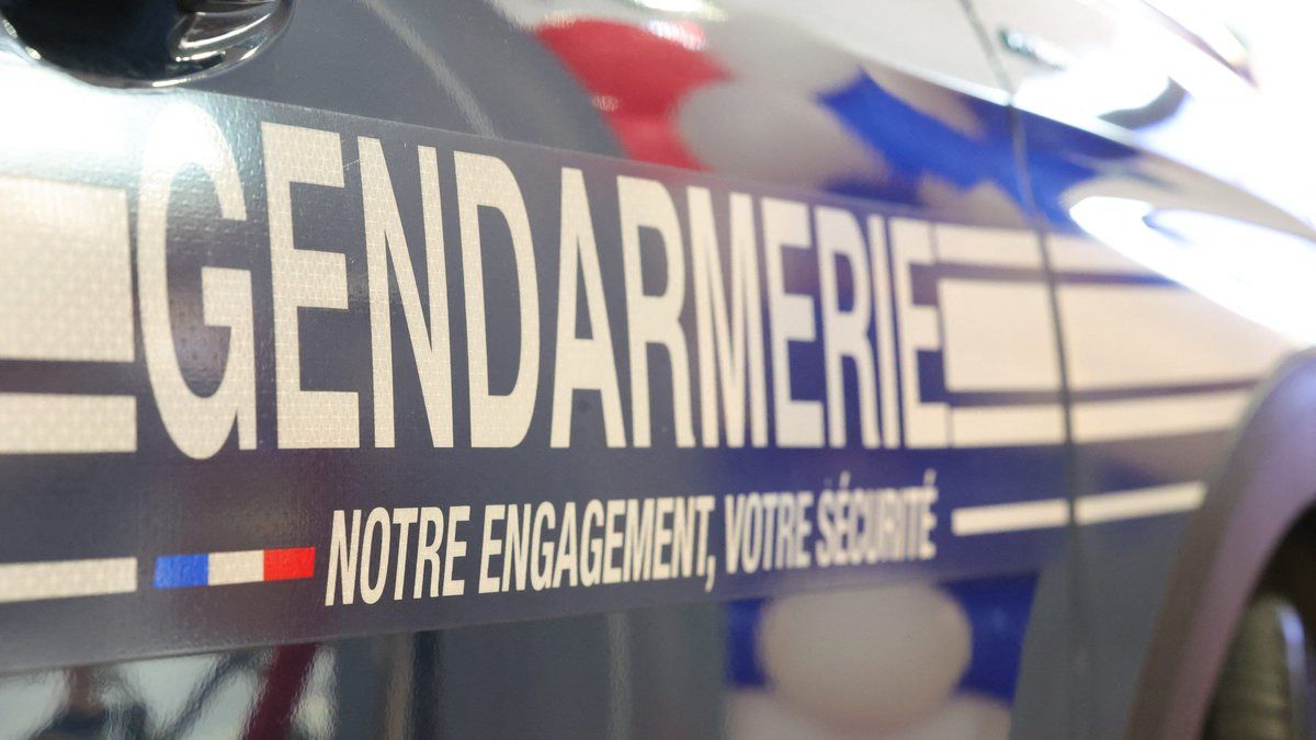Un cycliste octogénaire perd la vie dans un tragique accident sur l'île d'Oléron