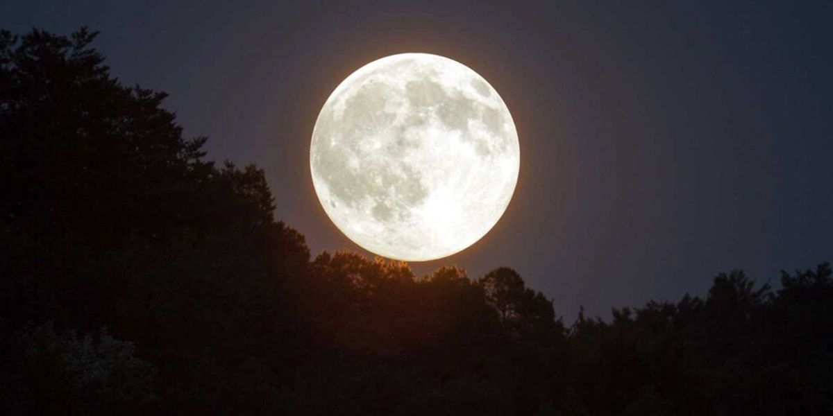 Calendrier lunaire pour le jardin - Avril 2025