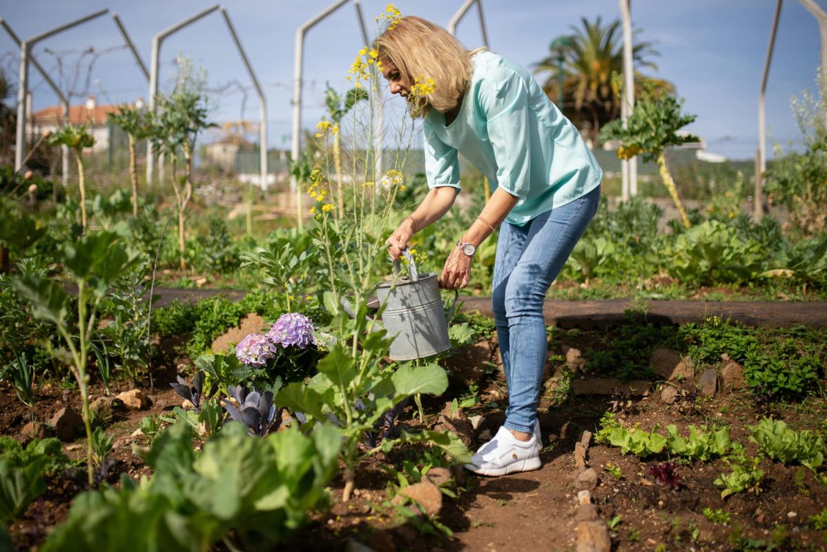 Simplifiez l'arrosage de votre jardin avec cette astuce géniale