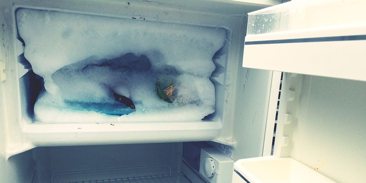 les mystères du givre dans votre frigo : 12 causes à découvrir