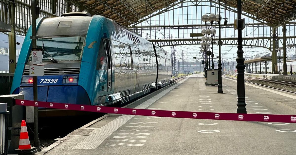 Alerte au colis suspect à la gare de Tours : trafic légèrement perturbé