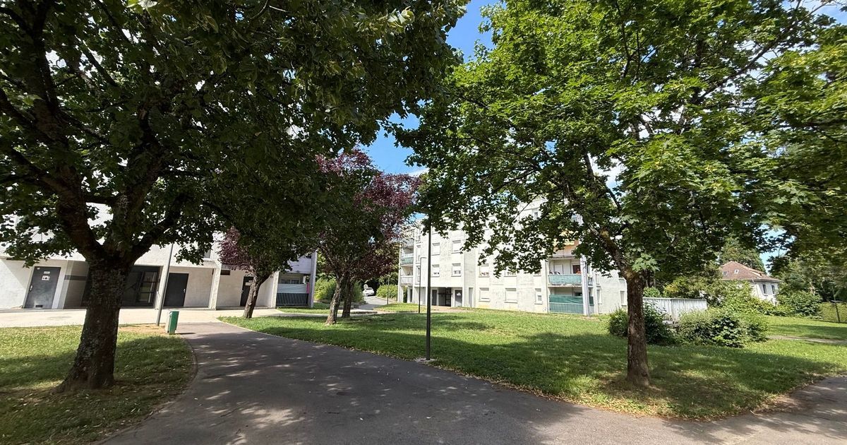Montbéliard : un adolescent tué par balles, la traque du tireur se poursuit