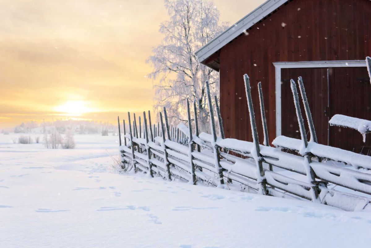 Protégez votre jardin cet hiver avec une barrière à neige : indispensable ou optionnelle ?