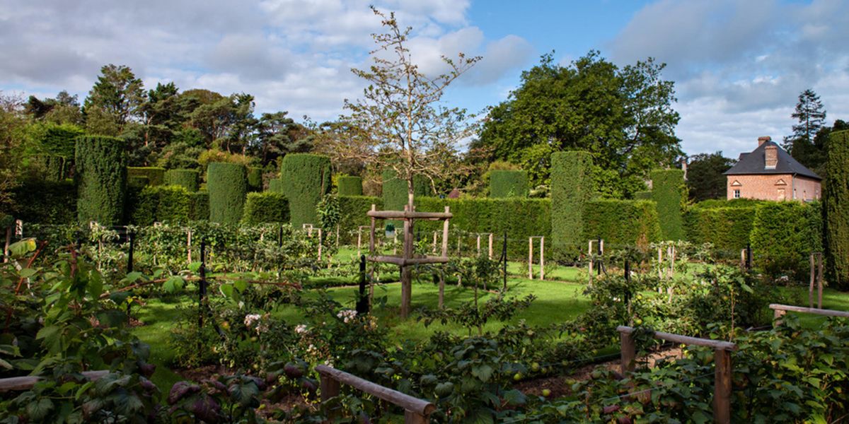 À la découverte des Jardins du Bois des Moutiers en Seine-Maritime