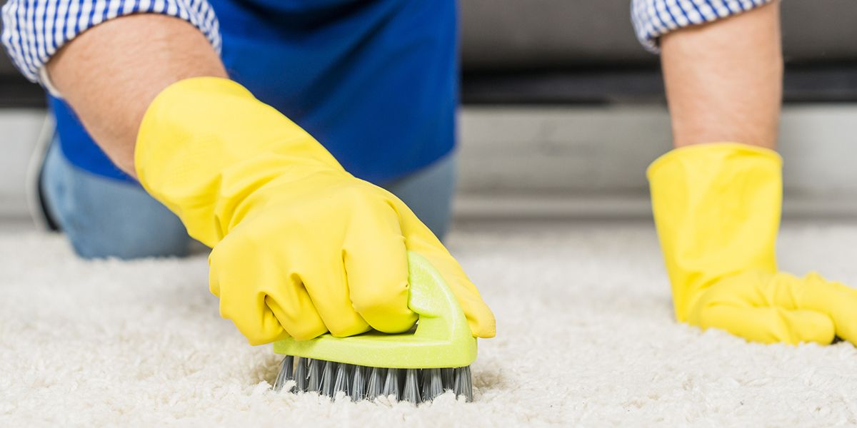 Fabriquer son nettoyant moquette maison : une solution écologique et économique