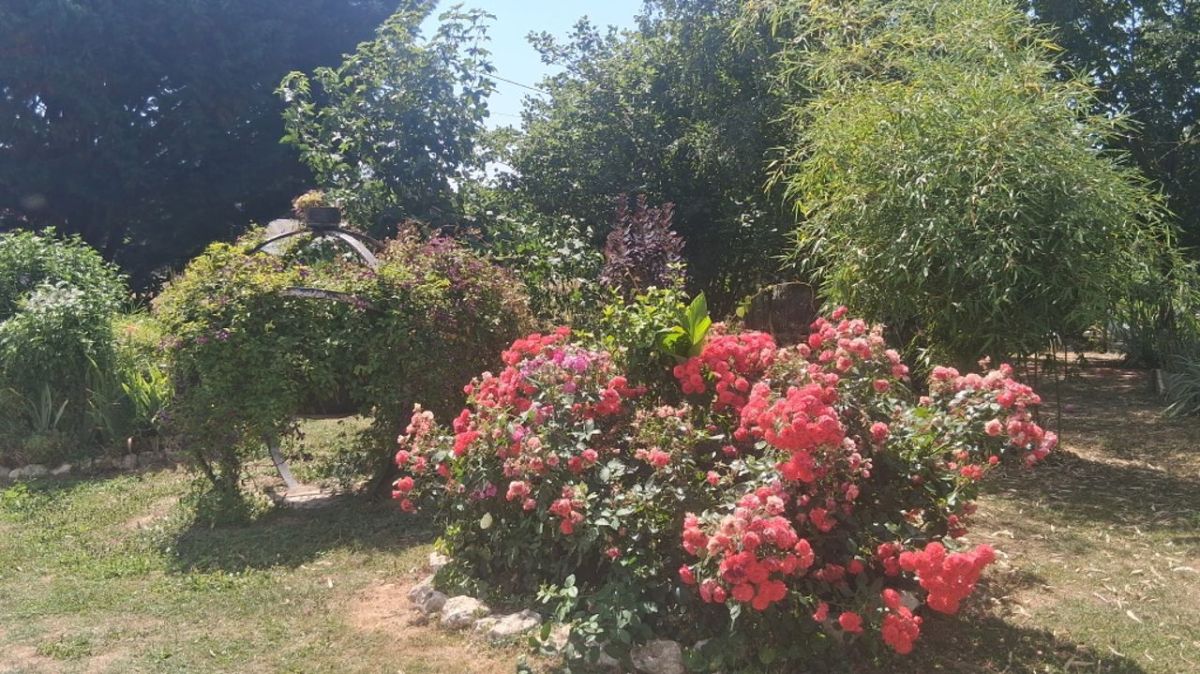 l'annulation du concours fleuri de l'indre : un coup dur pour les passionnés de jardinage