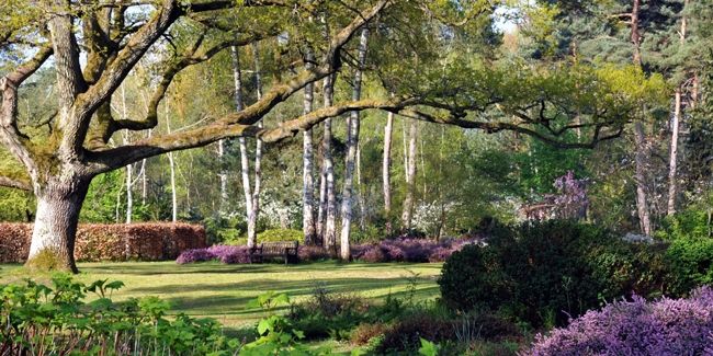 l'arboretum des grandes bruyères à ingrannes – loiret (45)