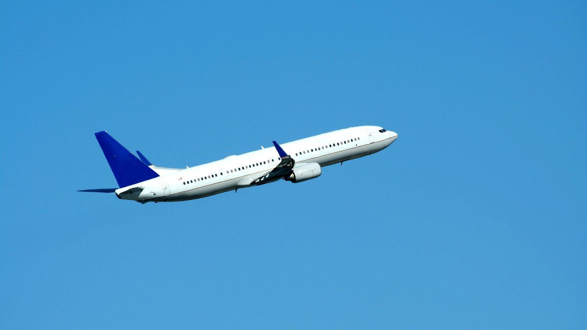 Un passager perturbateur tente d'ouvrir la porte d'un avion en plein vol