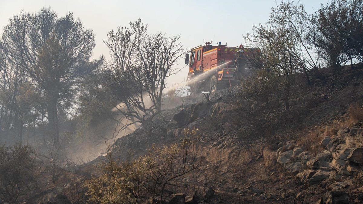 Incendies ravagent l'Occitanie : un jeudi noir de Pouzols à Canet-en-Roussillon