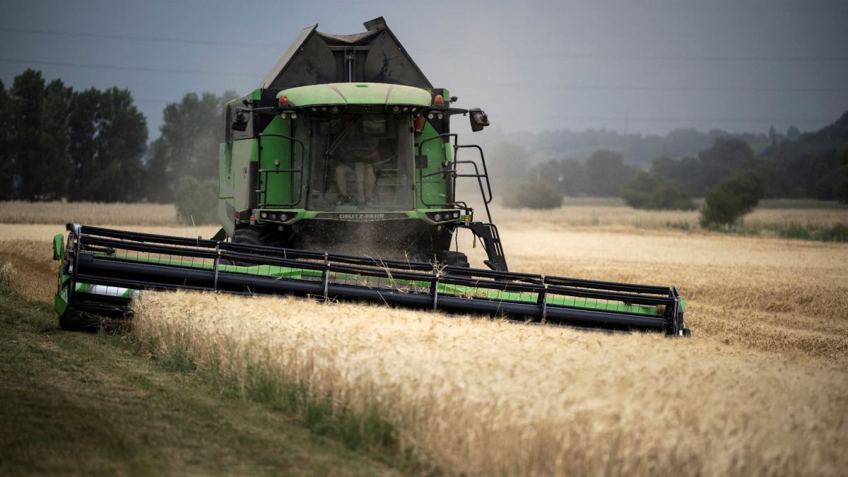 Urgence agricole : les sénateurs prennent les devants, mais des tensions persistent