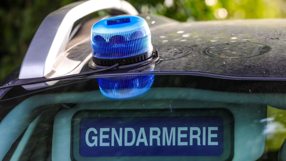 Fléac : un animateur périscolaire accusé d'agressions sexuelles