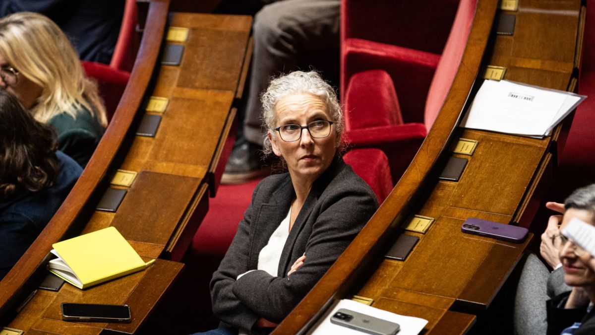 Publicité trompeuse et tensions : Delphine Batho alerte sur le chaos chez Lidl