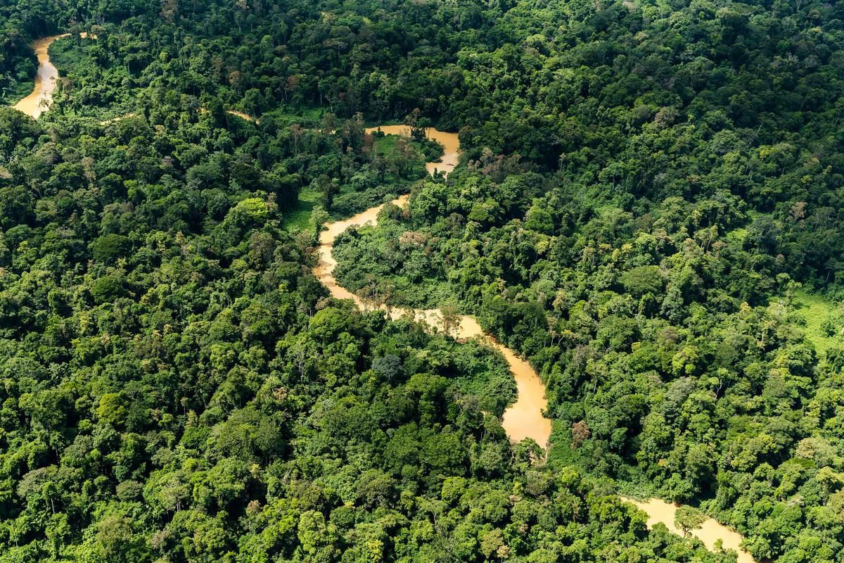 La Guyane entre dans la Caricom : une nouvelle ère pour l'intégration régionale