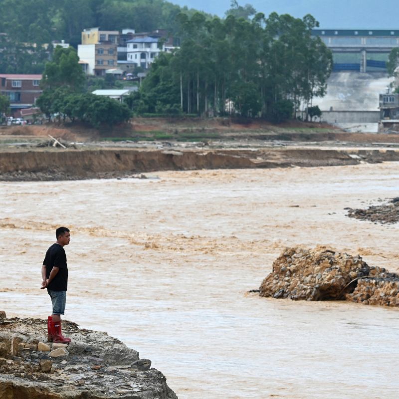 Inondations catastrophiques en Chine : l'évasion inattendue de 900 serpents venimeux