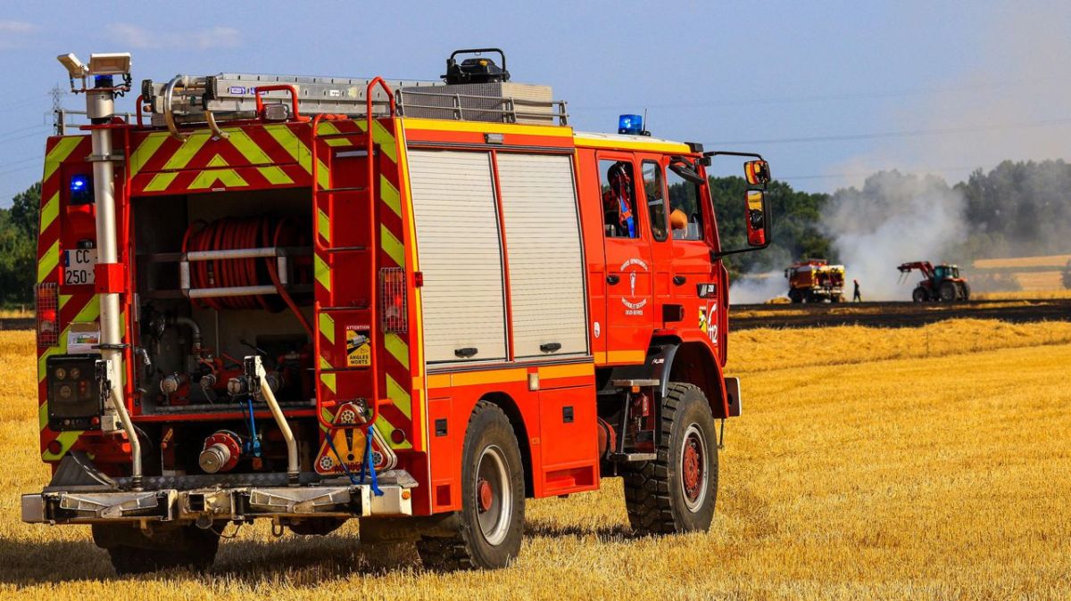 Les incendies ravagent les Deux-Sèvres : un bilan alarmant pour 2026