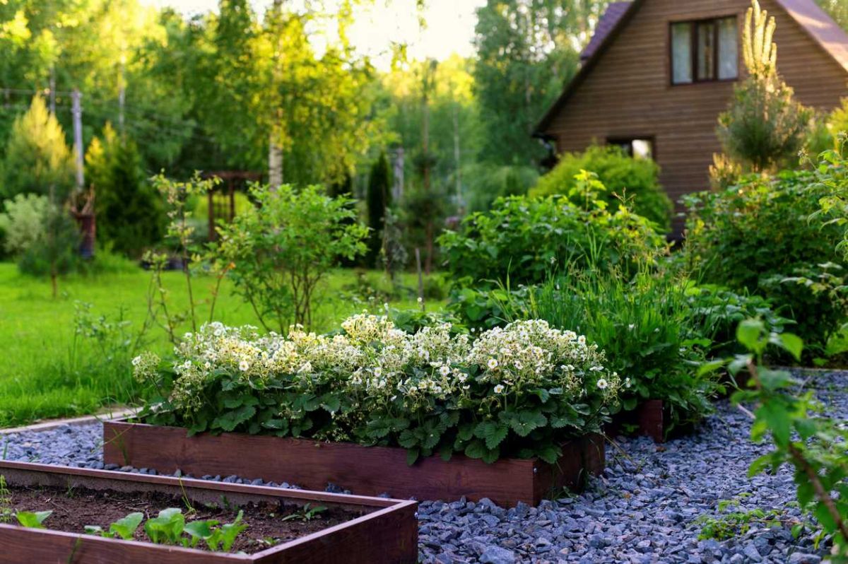 Démarquez-vous avec des solutions inattendues pour rafraîchir votre jardin