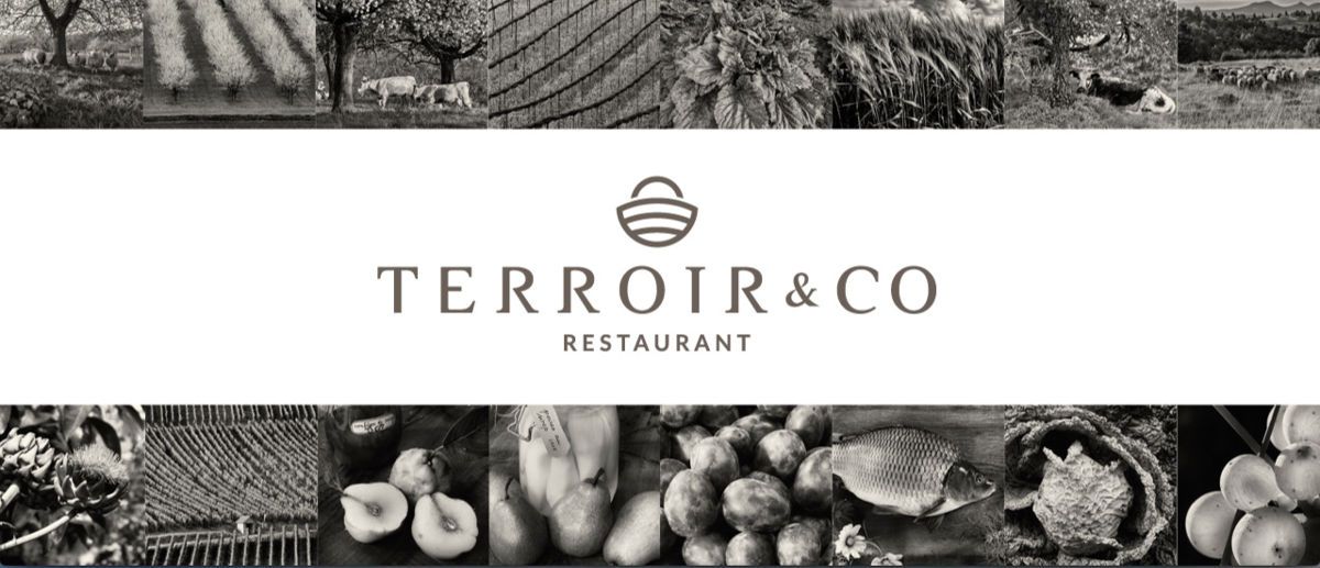Terroir & Co : découvrez la nouvelle pépite bistronomique à Strasbourg