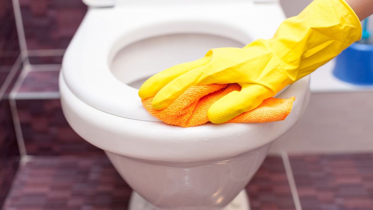 À la recherche d'alternatives pour nettoyer ses toilettes sans javel