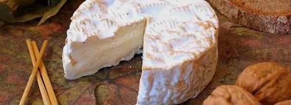 Sauvegarde du camembert : la lutte pour l'authenticité se poursuit