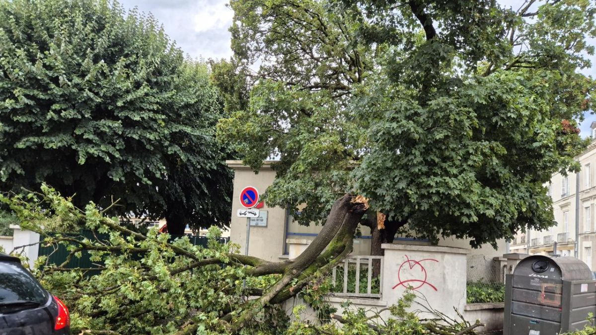 Orage ravageur : la Touraine sous l'assaut des intempéries